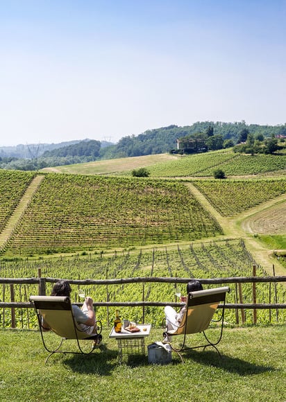 Degustare un calice, con vista sui vigneti