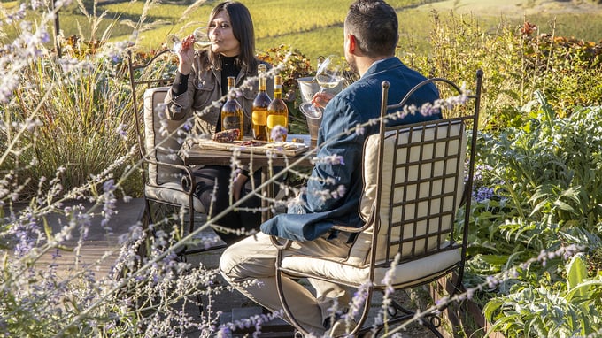 Visite alle cantine Settecentesche e degustazione