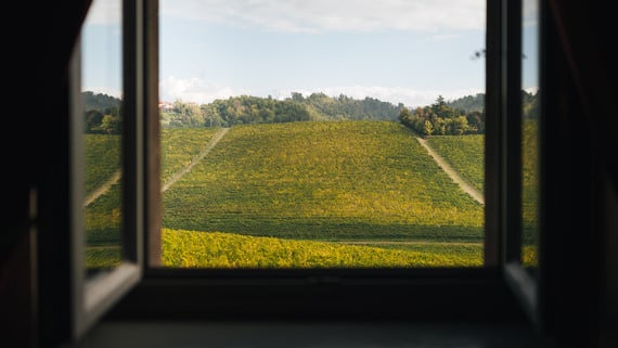 TRE GIORNI A GAVI